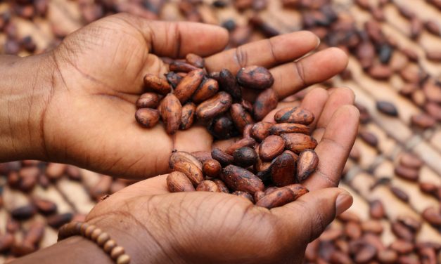 Le 1er octobre : Journée mondiale du cacao et du chocolat